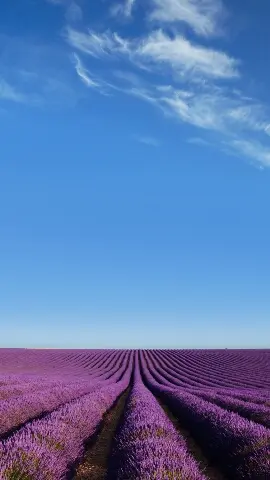 金立elifes55内置壁纸