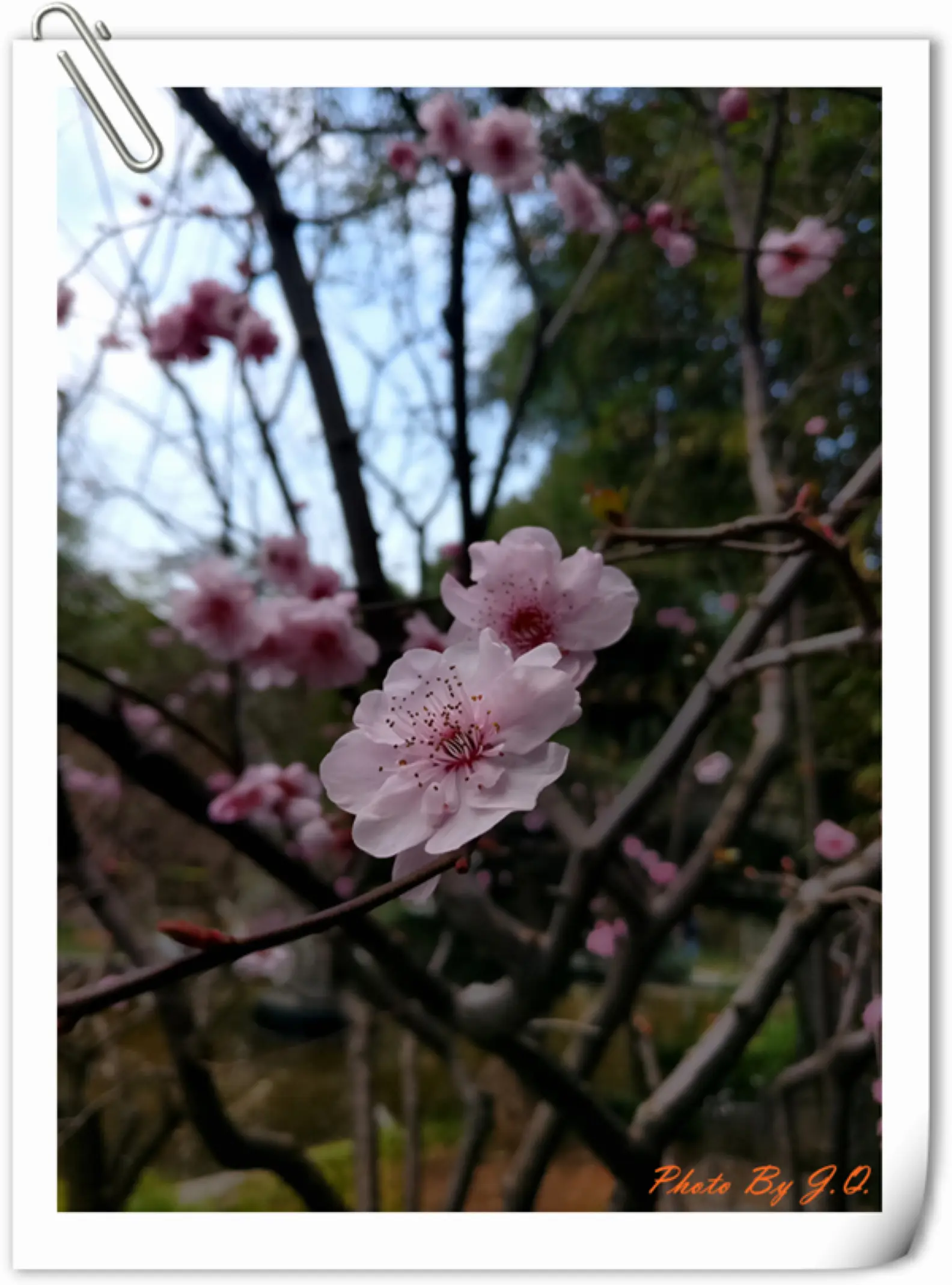 【3月】春光无限