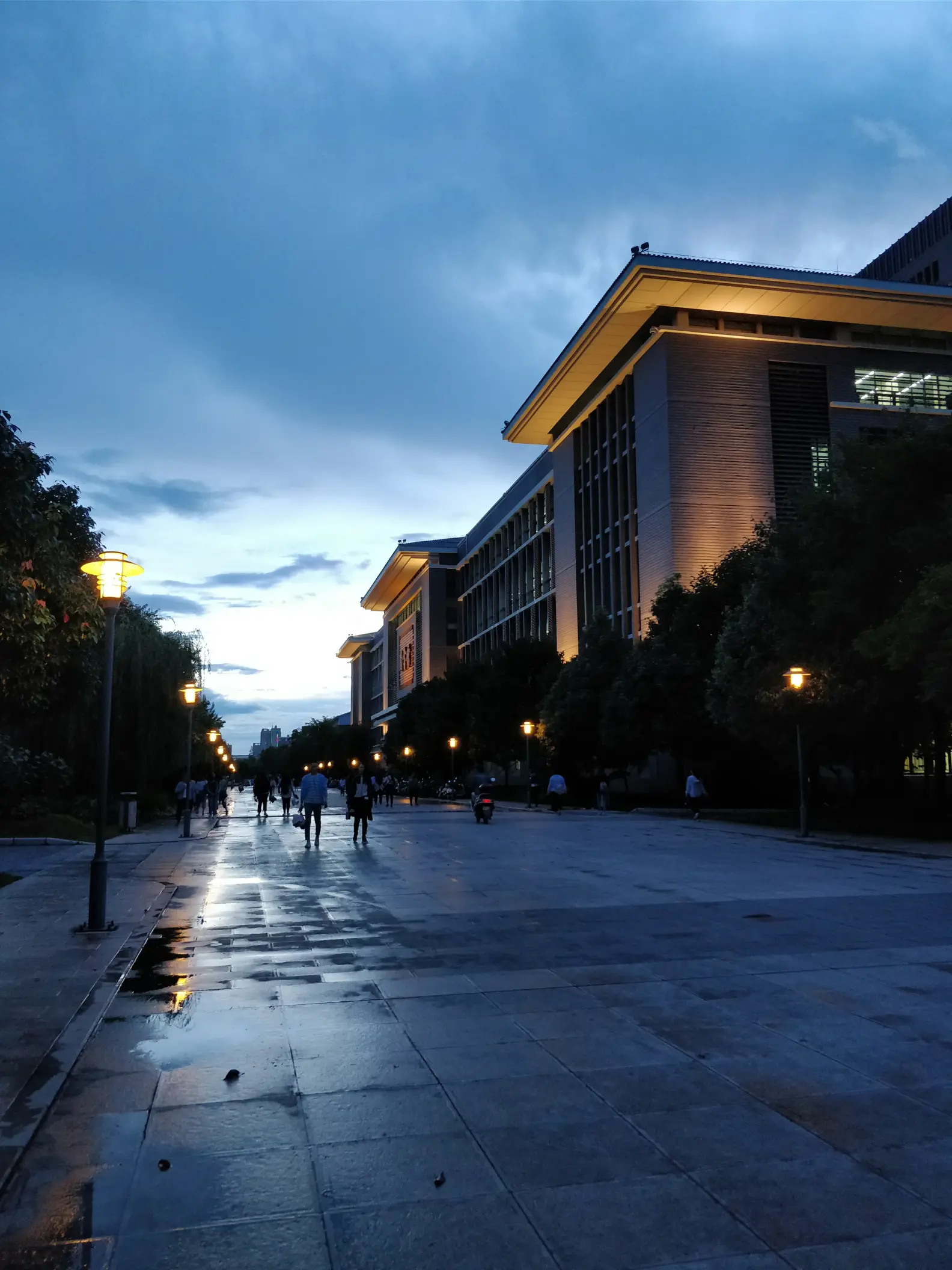 云师大的图书馆