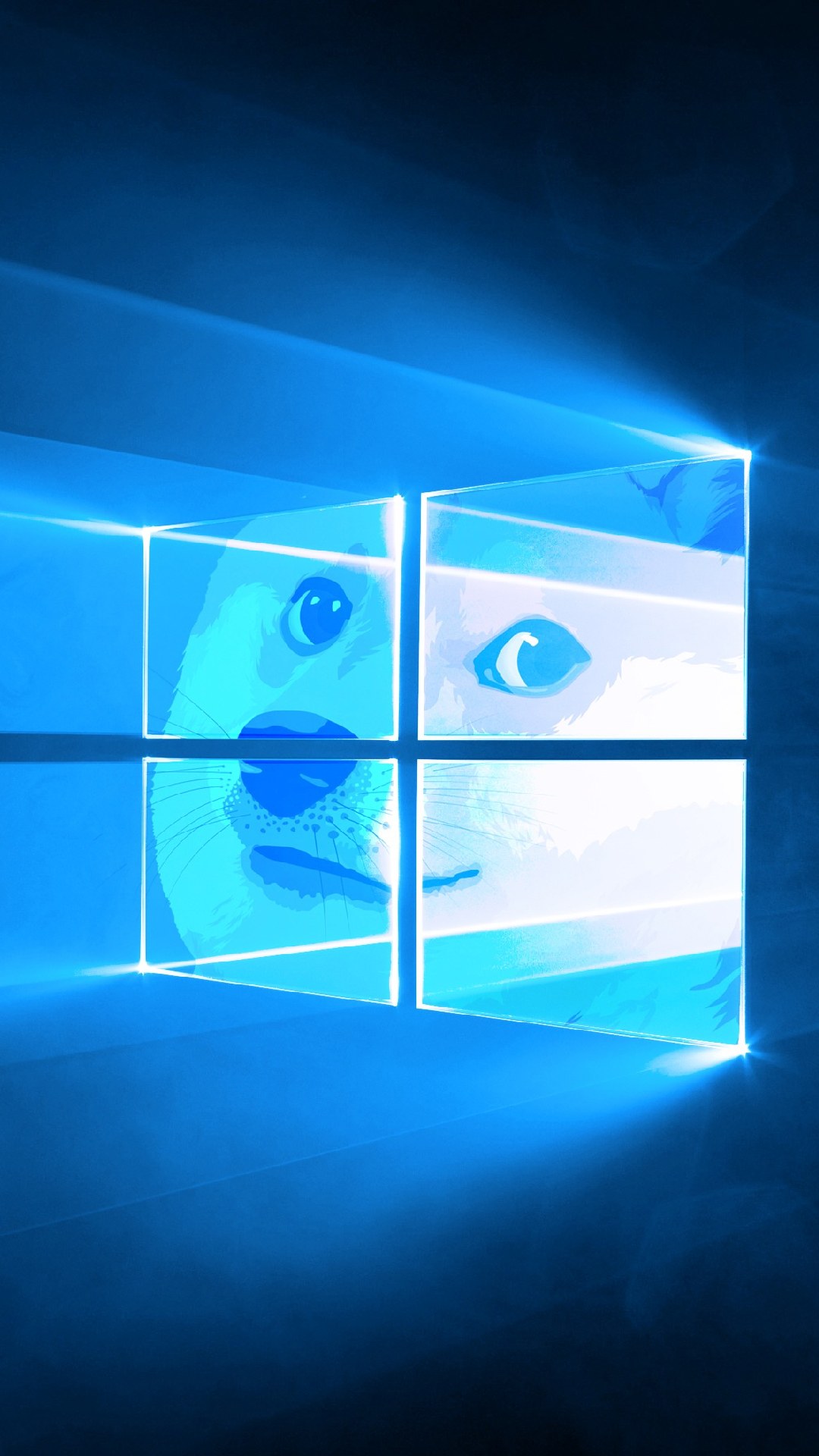 壁纸,来自酷安,刷机备份,喜欢拿走不谢.