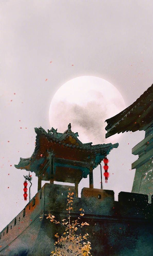 1加5t超美壁纸集合