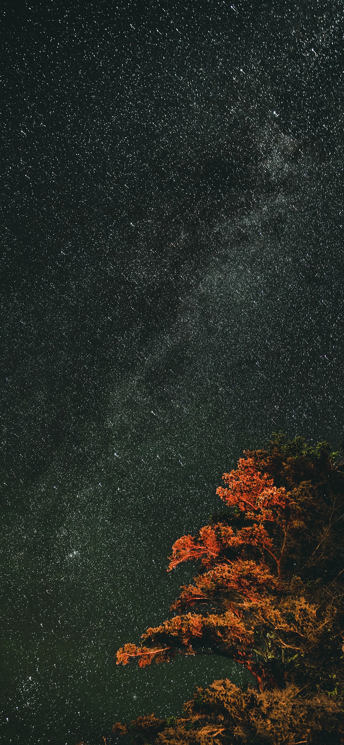 一加7pro壁纸 不回让你失望