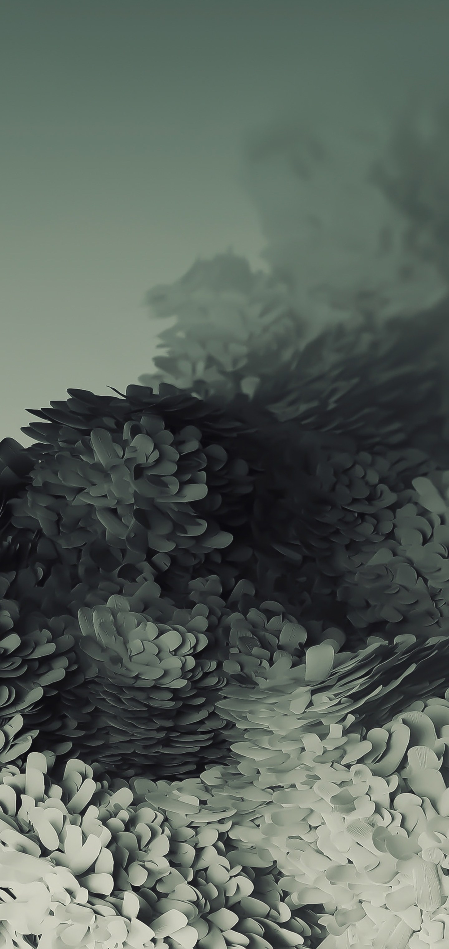 1440_3040竖版 竖屏