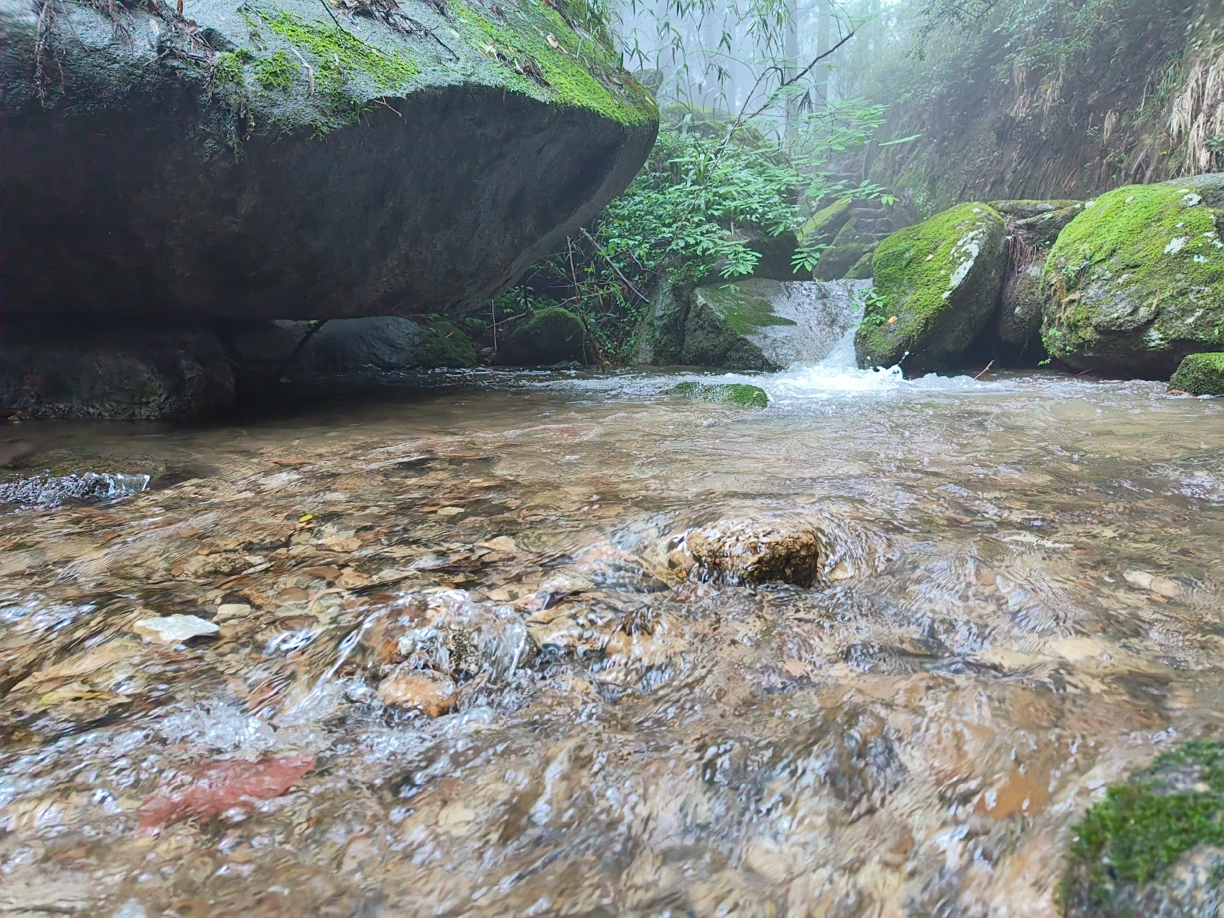 衡山灵芝泉图片