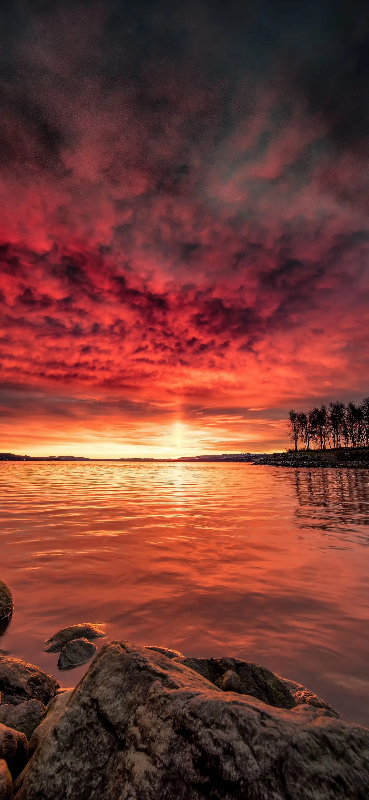 一加七pro全面屏4k壁纸