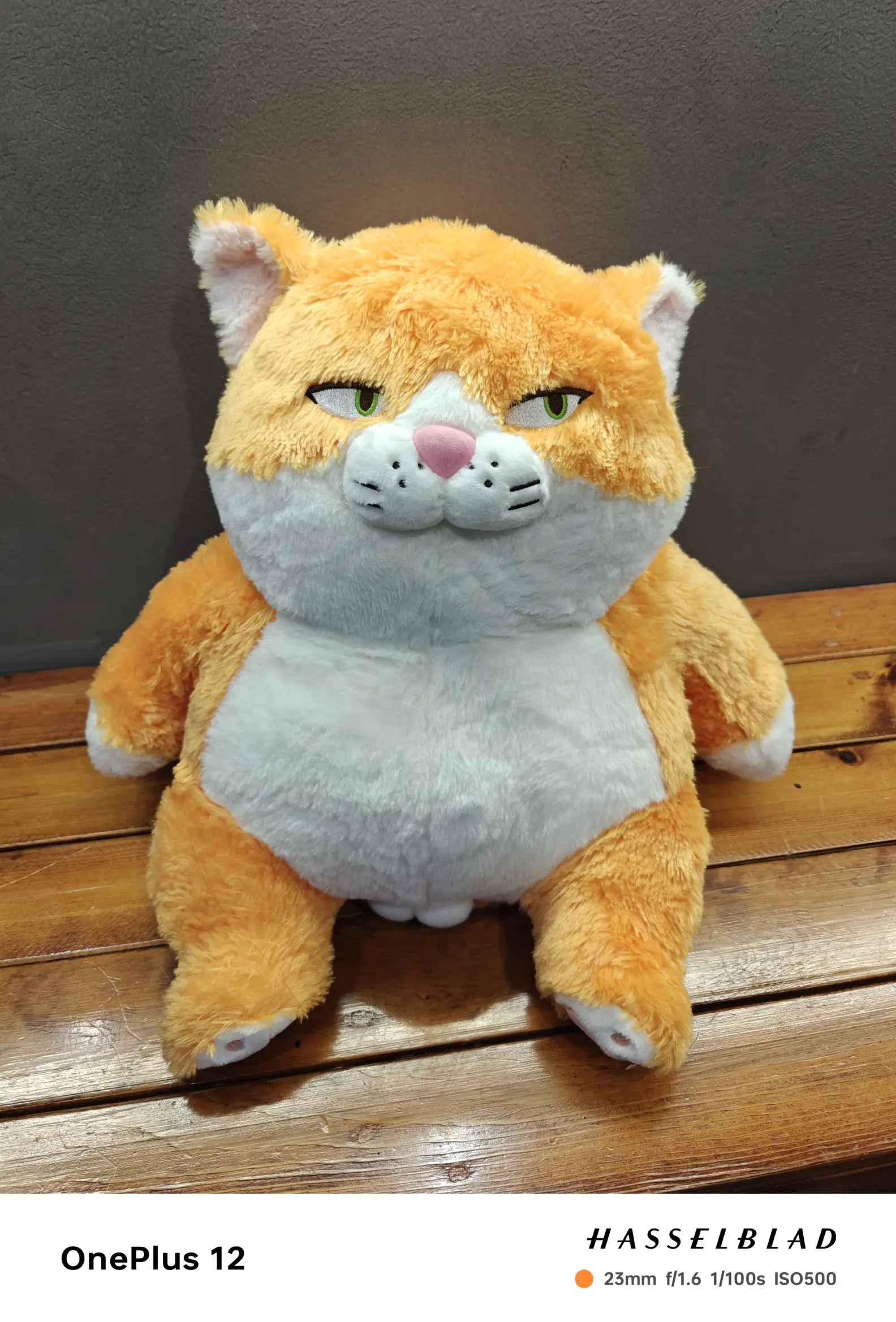 这公仔的眼神特别猥琐😜😜