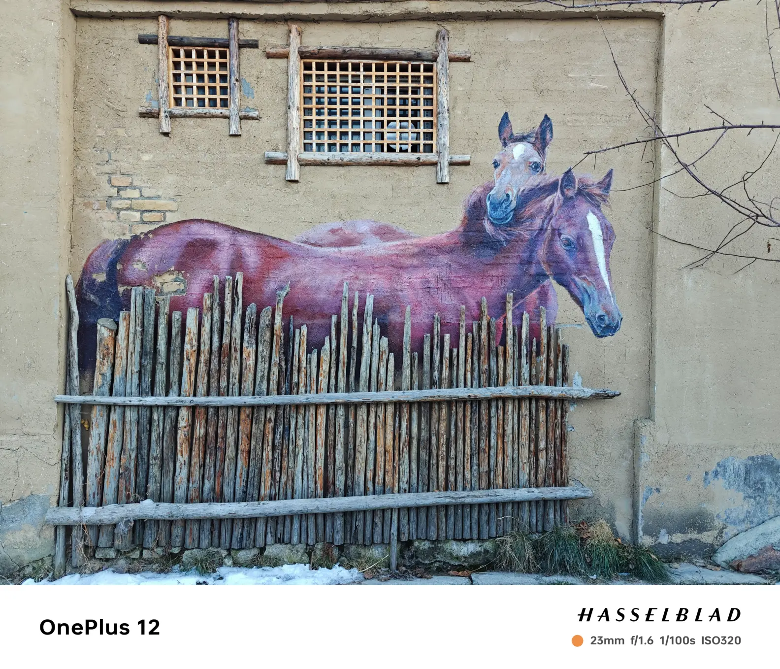 离街zoom1x ↓↓离街zoom1x ↓↓离街zoom1x