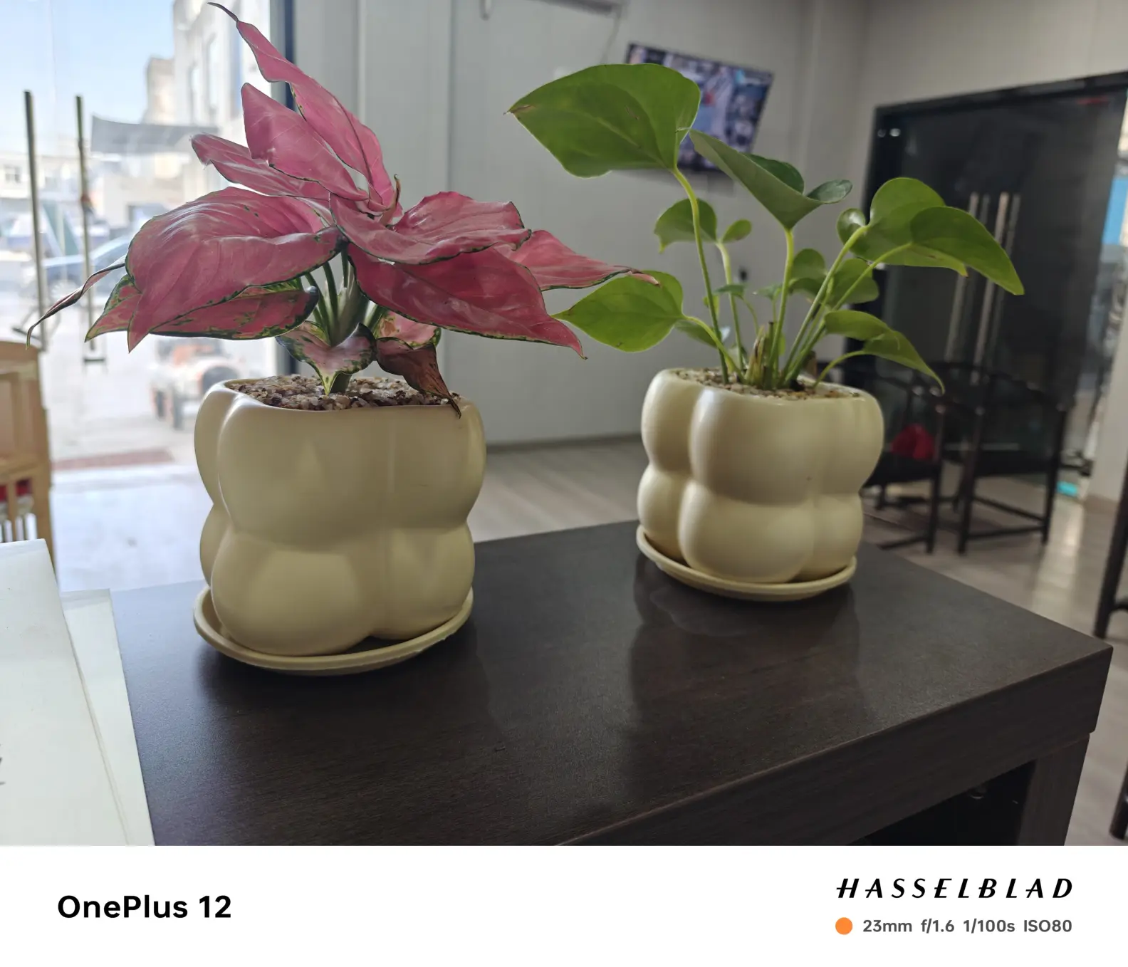 赶紧换01-25, 10:45一加 120 赞回复冬天的阳光2021效果还是不错