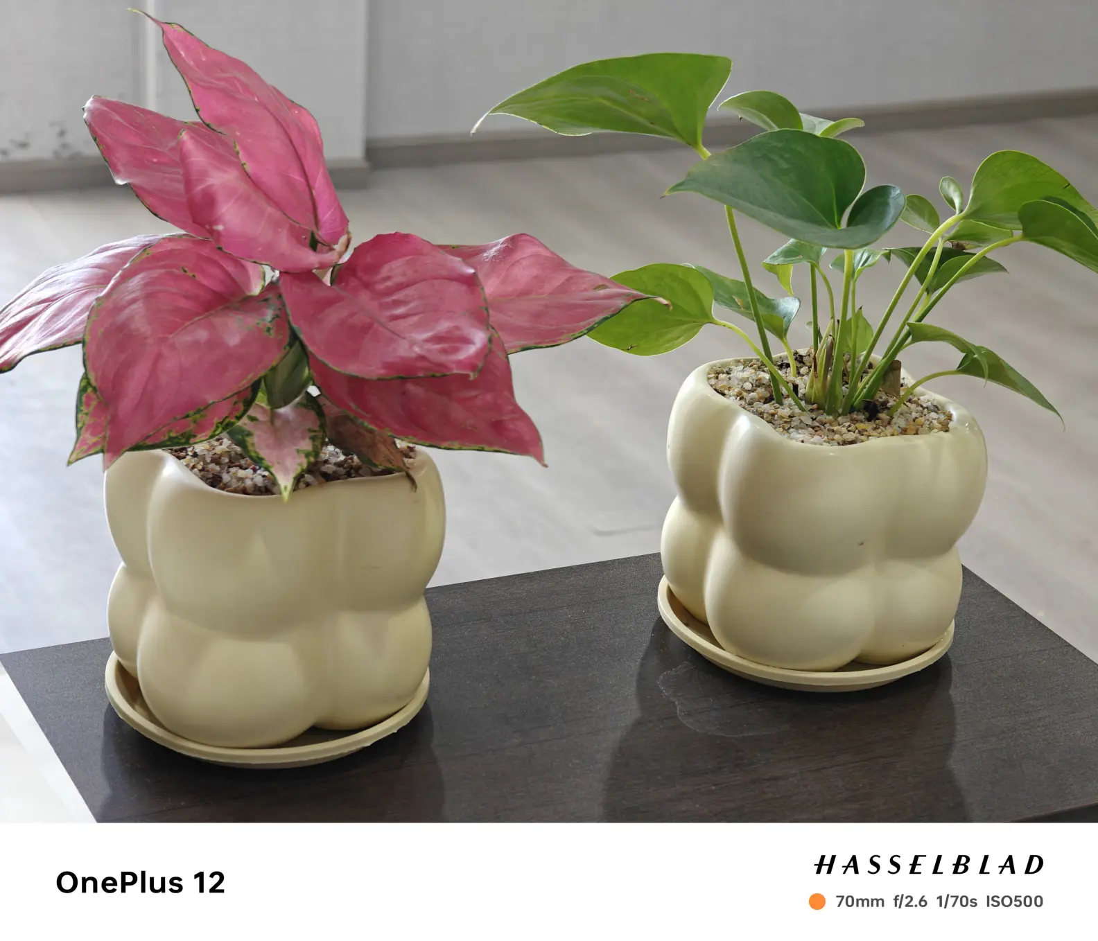 赶紧换01-25, 10:45一加 120 赞回复冬天的阳光2021效果还是不错