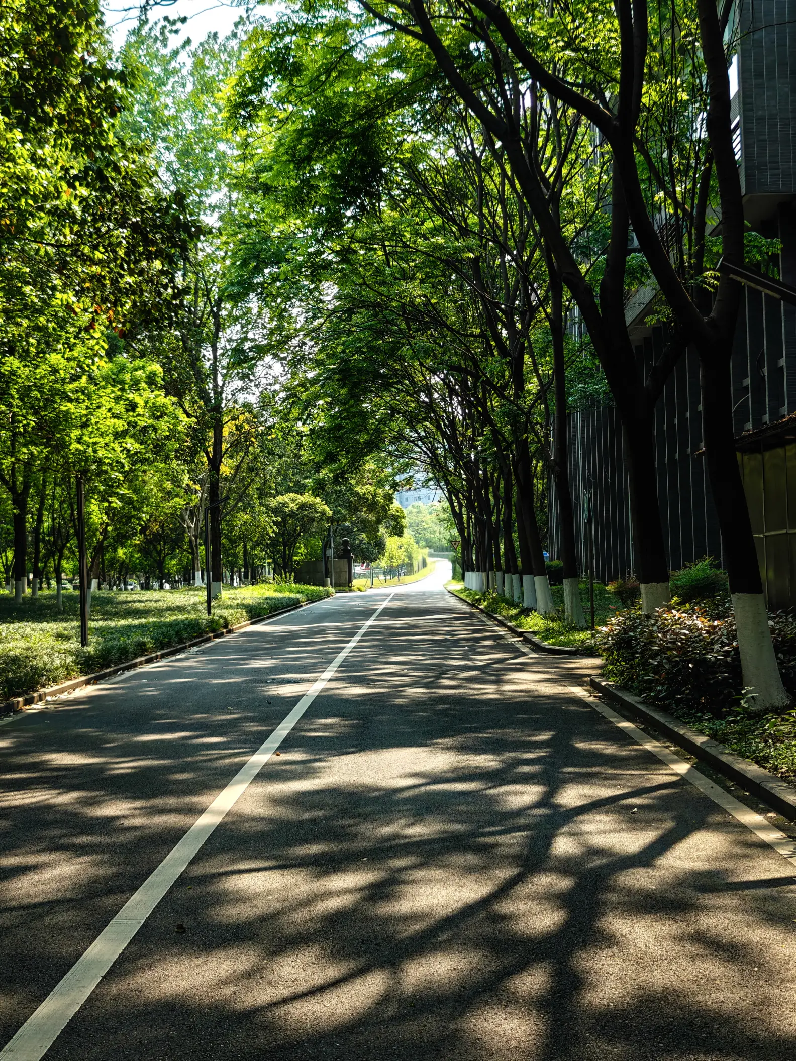 来一波路边随手拍