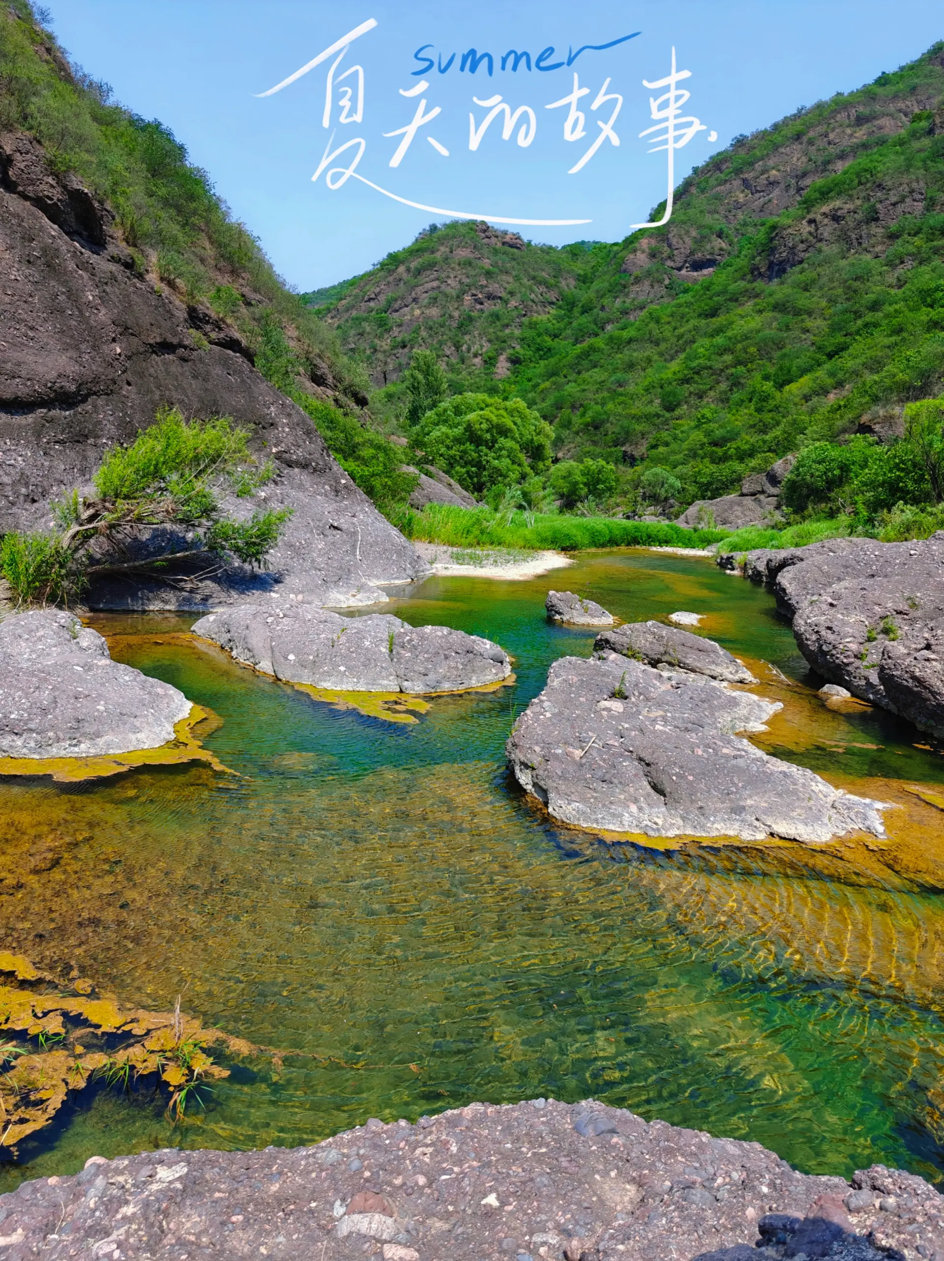 北京野生态翠鸟谷风光