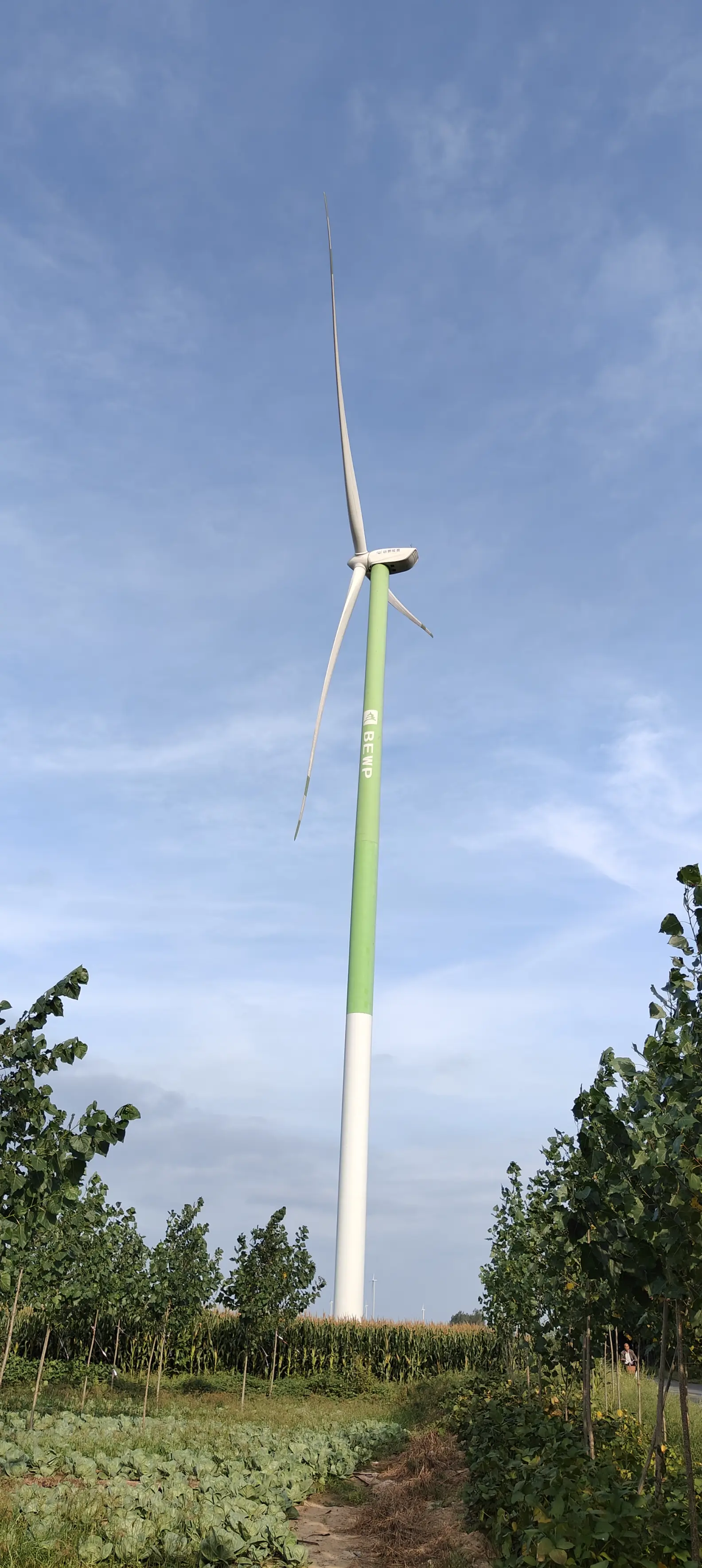 山东临清市烟店镇附近随手拍风力发电机,大风车